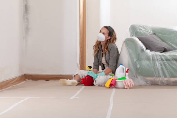 Reliable Mold Removal contractor in Gainesville, GA by WQB Mold Removal
